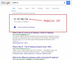 Get your public IP via shell