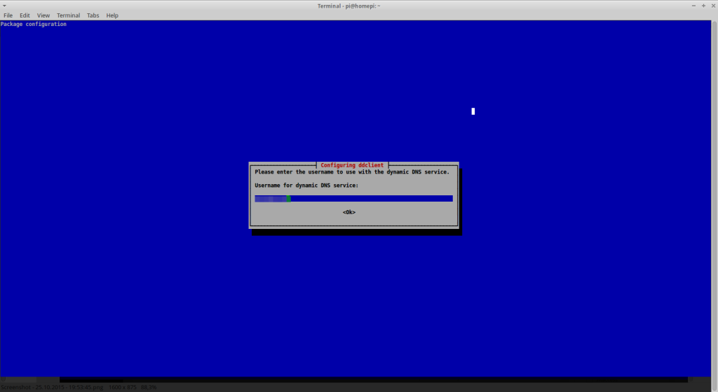 Run a DynDNS client under Raspbian - Username