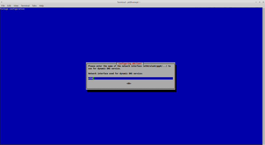 Run a DynDNS client under Raspbian - Interface