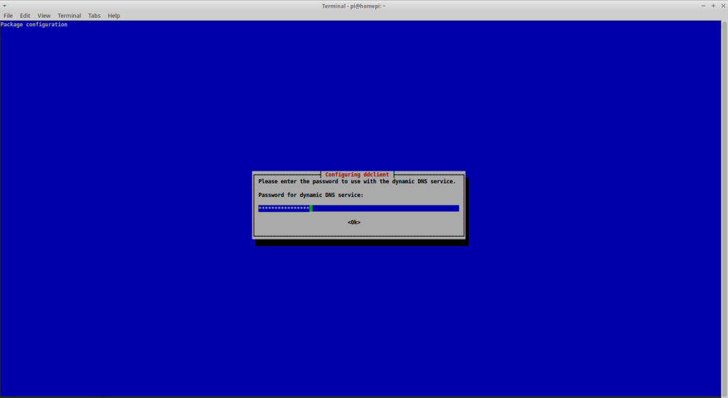 Run a DynDNS client under Raspbian - Password